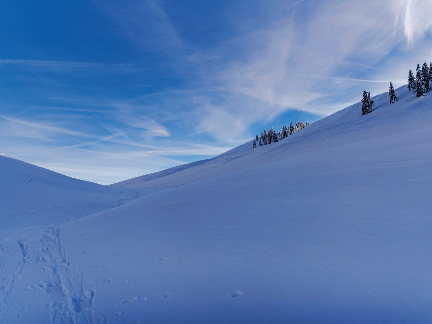Les randonnées à ski ou en raquettes ne sont pas rares dans la réserve naturelle du Chasseral.