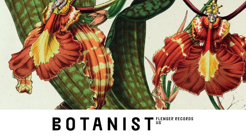 Botanist, Carne, Dali Psyko Circus