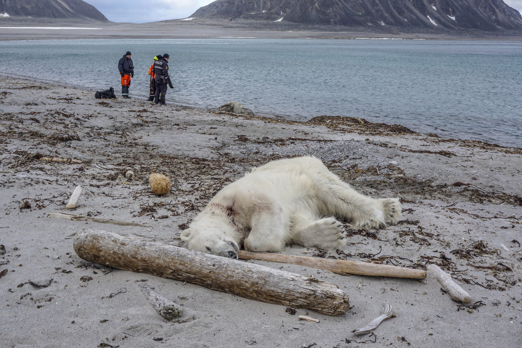 "La Terre est au bord du burn out", avertit l'organisation de défense de l'environnement WWF.