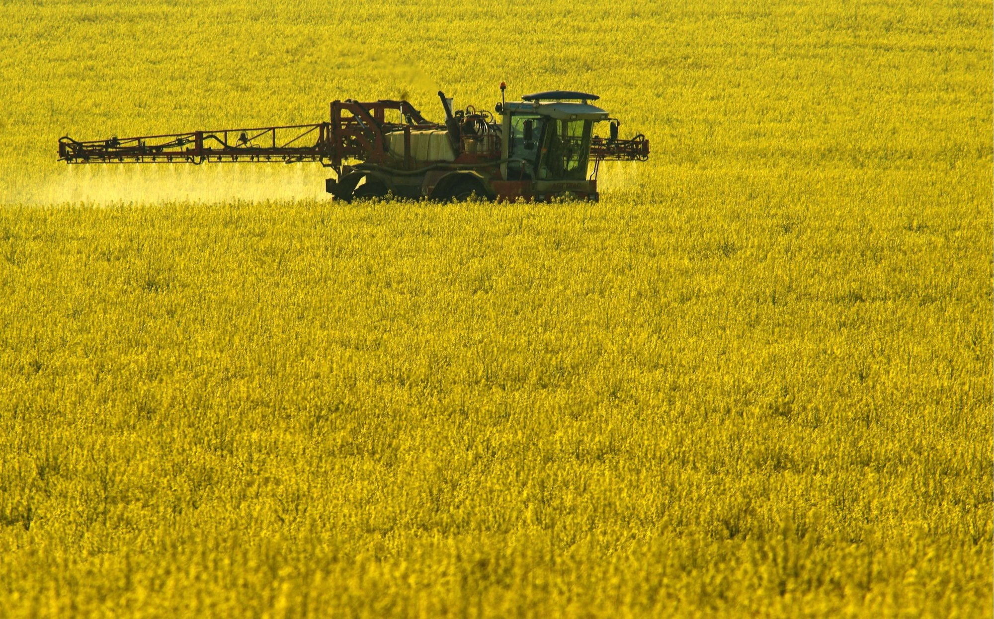 Dans la lettre de Bayer et Syngenta, les pesticides sont présentés comme des "désinfectants pour les plantes" (image d'illustration).
