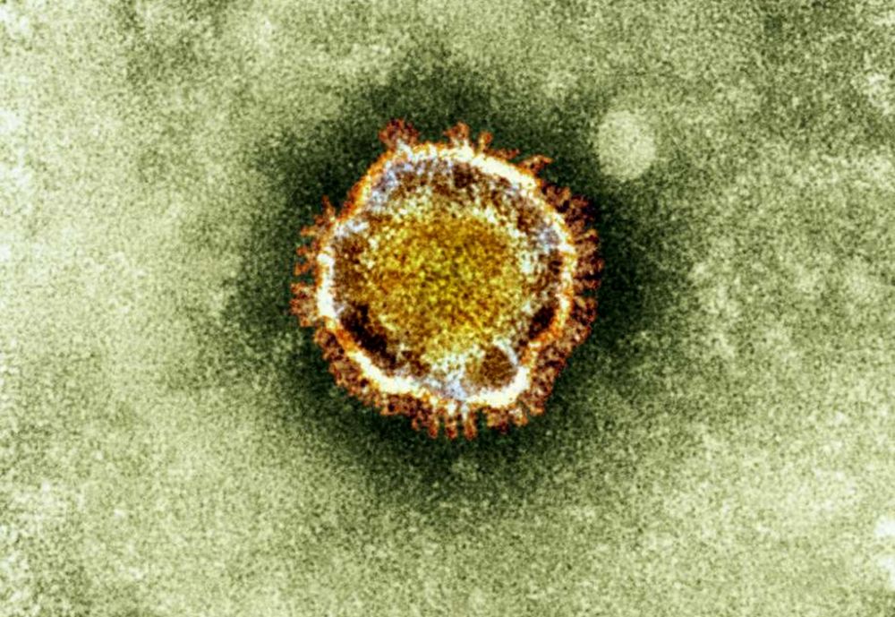 Le coronavirus agrandit son nombre de victimes de manière inquiétante.