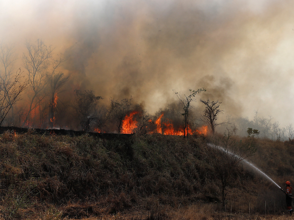 Les incendies ont détruit 2,3 millions d'hectares de forêts et de pâturages en Bolivie entre janvier et septembre (ARCHIVES).