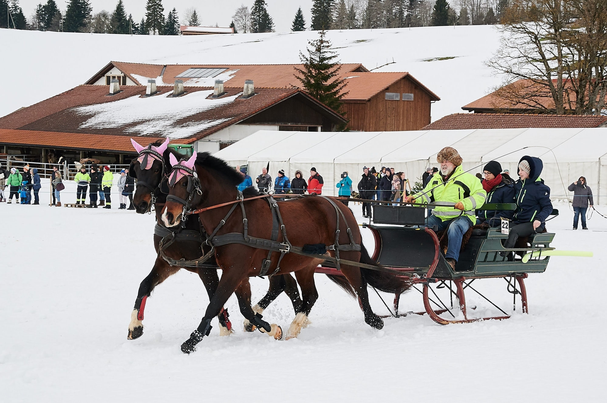 La Journée équestre de Muriaux accueillait notamment des courses d'attelages sur neige.