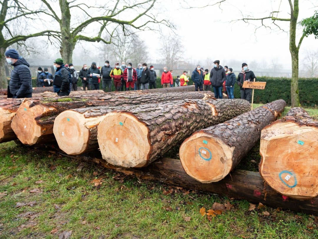 ForêtNeuchâtel a procédé à sa vente de bois précieux ce mercredi 15 décembre à Colombier.
