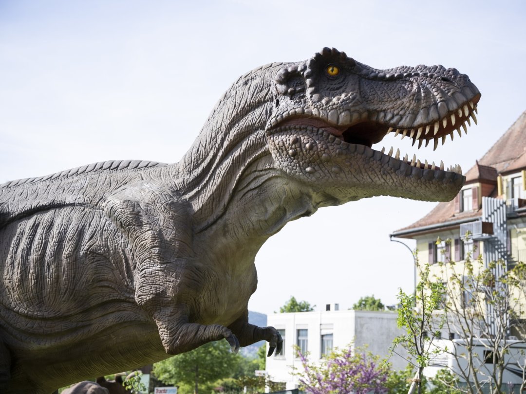 Le tyrannosaure, devant le bâtiment de l'Ecole des métiers de la terre et de la nature, à Cernier.