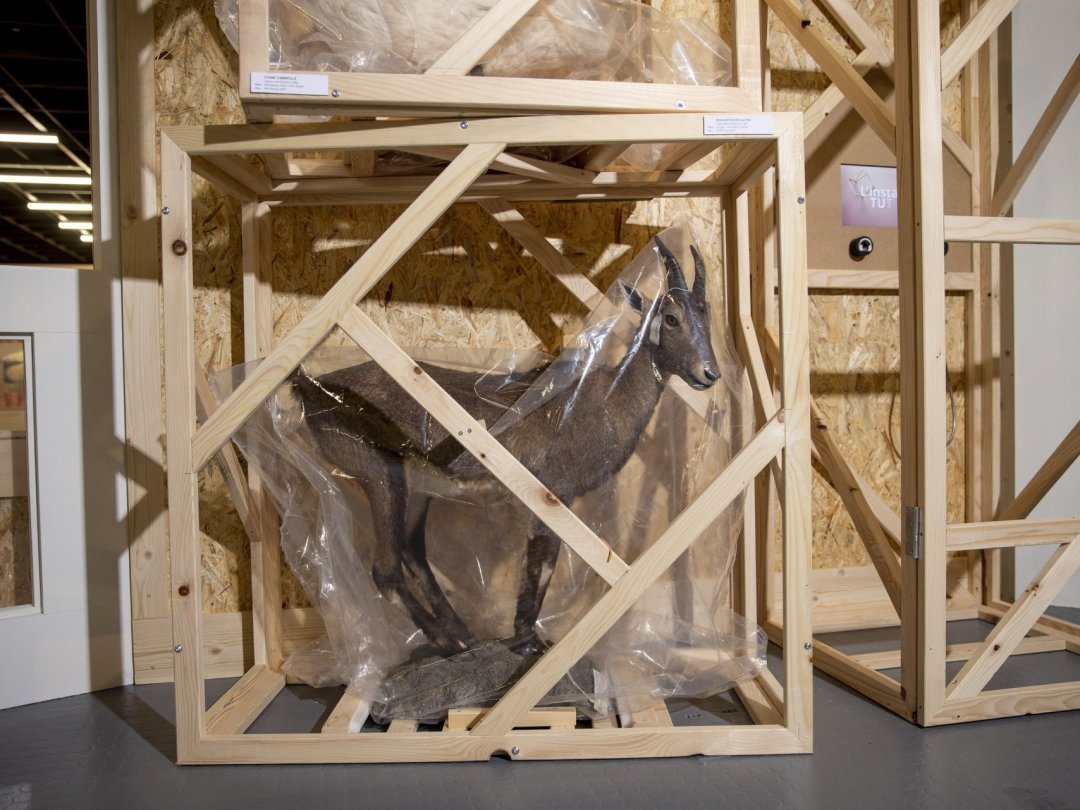 En vue du déménagement des collections, les pièces de grande taille sont protégées par des châssis en bois faits sur mesure.