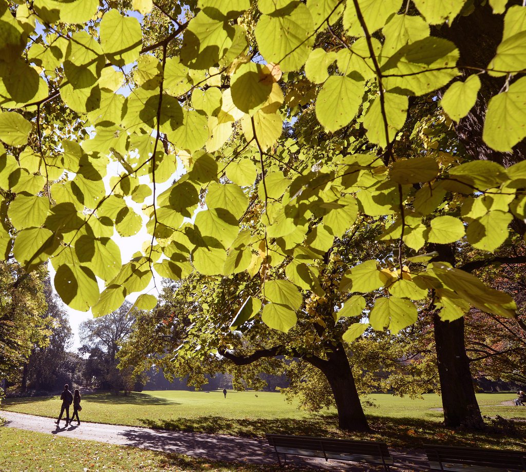 Herbst Spaziergang durch einen Park in Zuerich am Samstag, 19. Oktober 2013. (KEYSTONE/Walter Bieri)