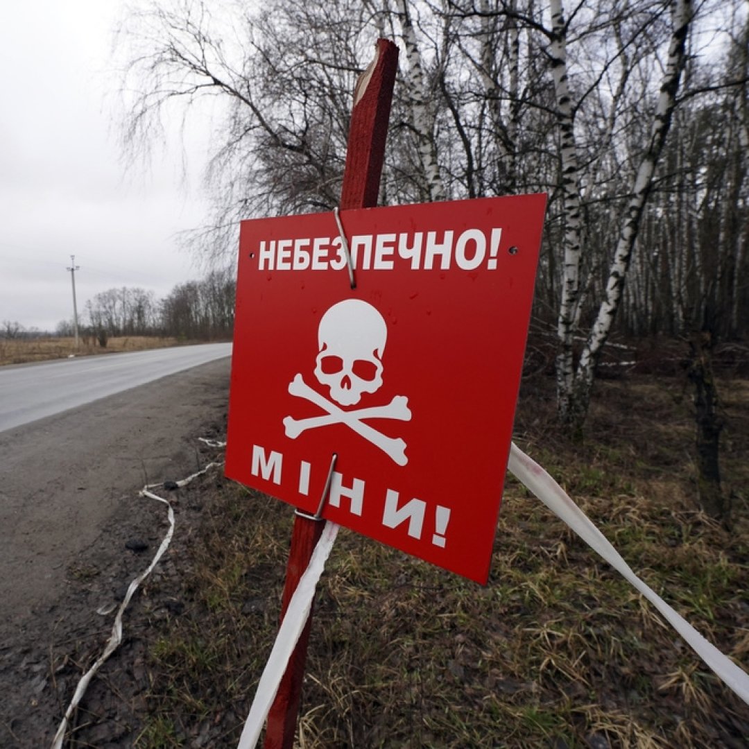 Un tiers du territoire ukrainien est contaminé par des mines et d'autres engins explosifs (illustration).