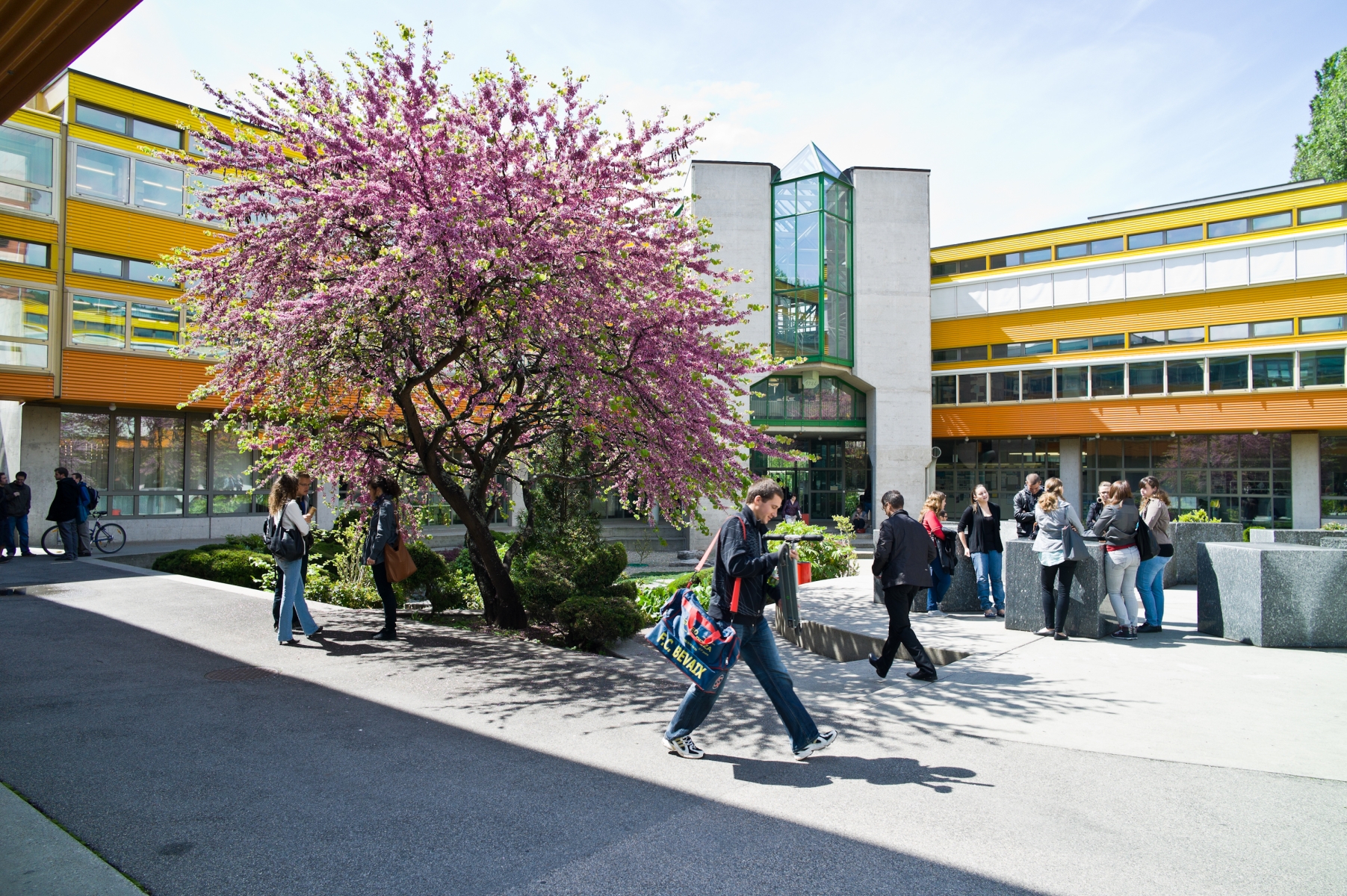 Après "Survie de plantes" entre 2001 et 2013, l'Université de Neuchâtel aura le pôle de recherche national "On the Move".