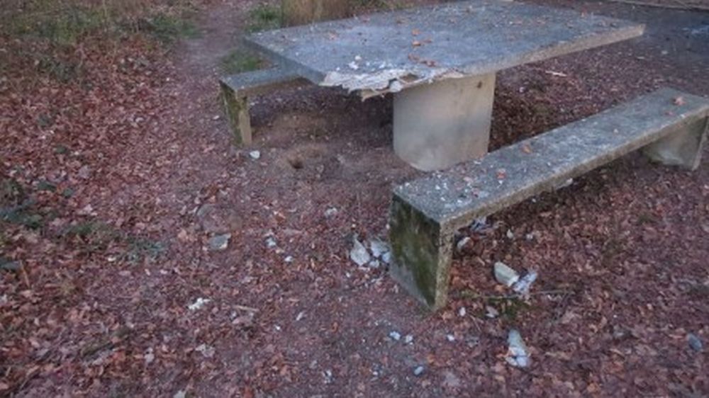Le coin de pique-nique est aménagé avec des tables et des bancs en béton. 