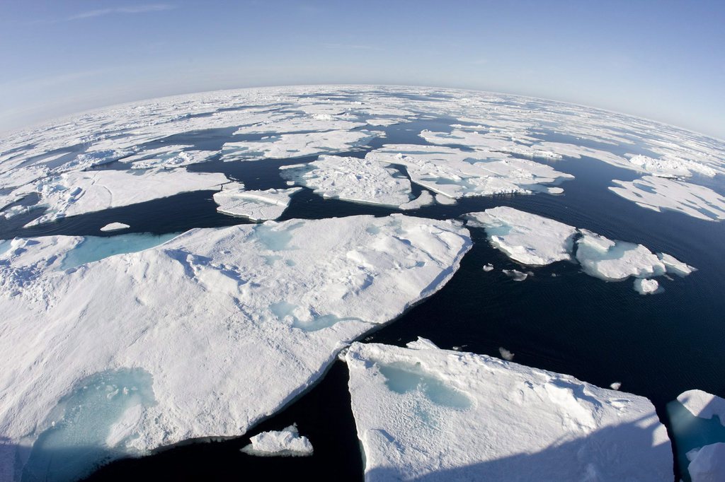 Réchauffement climatique + phénomène El Nino: l'Arctique souffre particulièrement cette année.