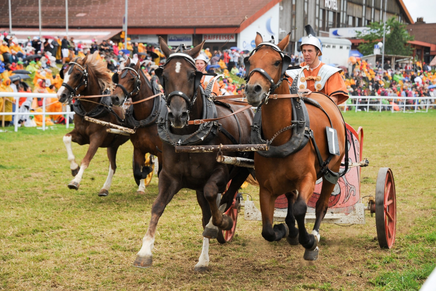 La traditionnelle course de chars romains lors de la 108e édition du Marche-Concours, en 2011.