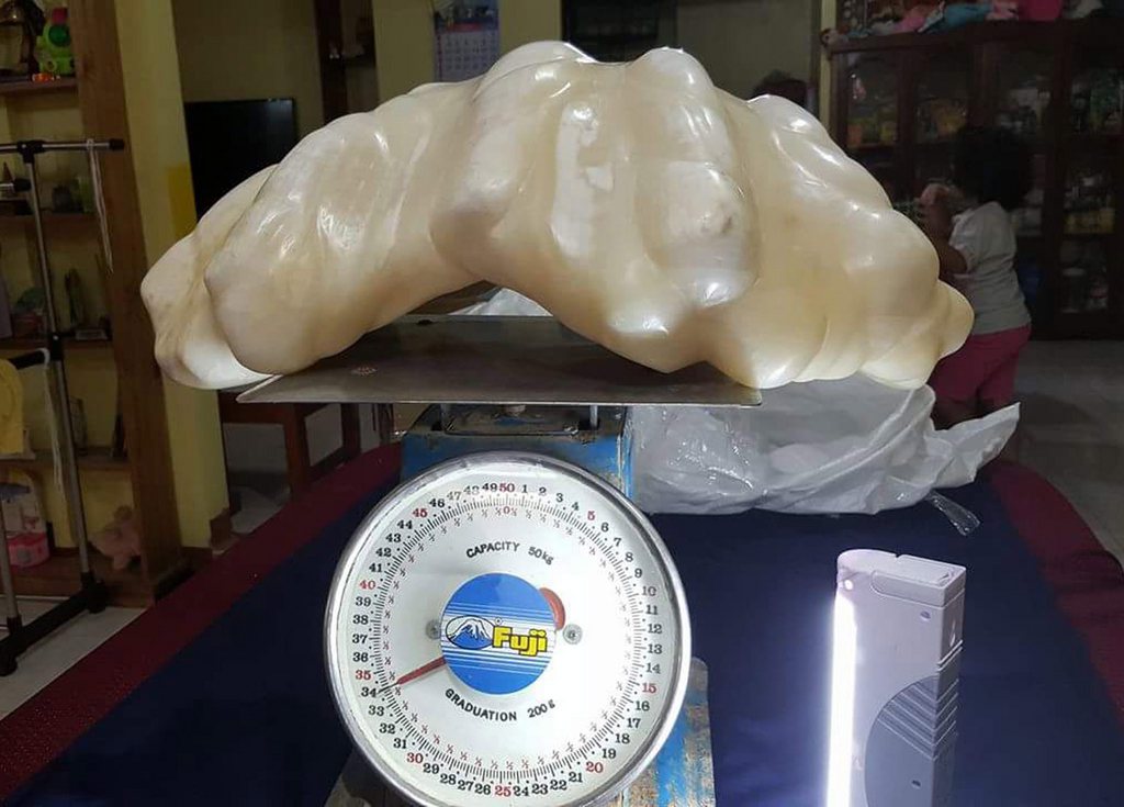 La perle a été placée lundi dans une boîte de verre à la mairie de Puerto Princesa, la capitale de l'île.