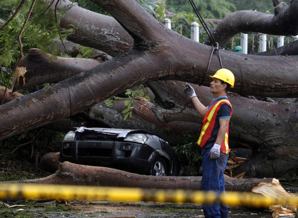Au Panama, un enfant a été tué quand un arbre est tombé sur la voiture dans laquelle il se trouvait.