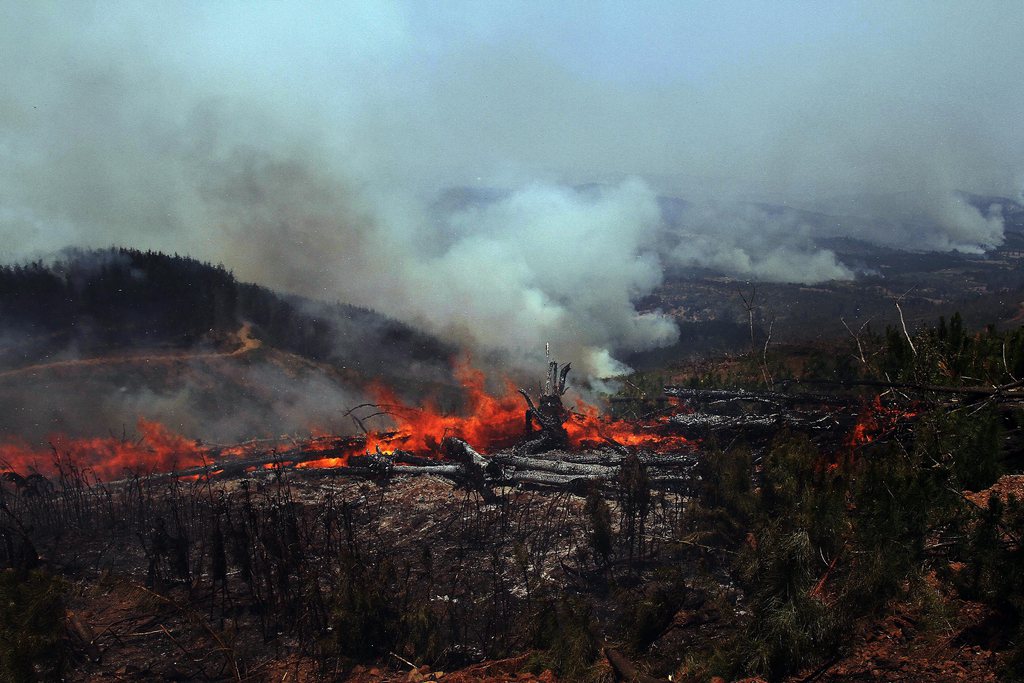 Les incendies ont détruit plus de 129'000 hectares de forêts et de cultures au centre et au sud du Chili ces derniers jours.