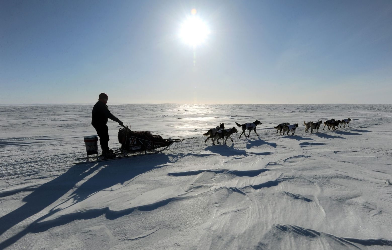 File - In this March 11, 2013 file photo, Aily Zirkle drives her dog team towards Elim after leaving the checkpoint at Koyuk in Alaska during the Iditarod Trail Sled Dog Race. The Iditarod Trail Sled Dog Race will again have a national presence after race organizers have signed a deal with the Sportsman Channel. The outdoor network and its affiliated websites and magazines will promote the race, and the channel will air specials about the world's longest sled dog race ahead of the March 1 start in Alaska. (AP Photo/The Anchorage Daily News, Bill Roth, File) IDITAROD NETWORK DEAL