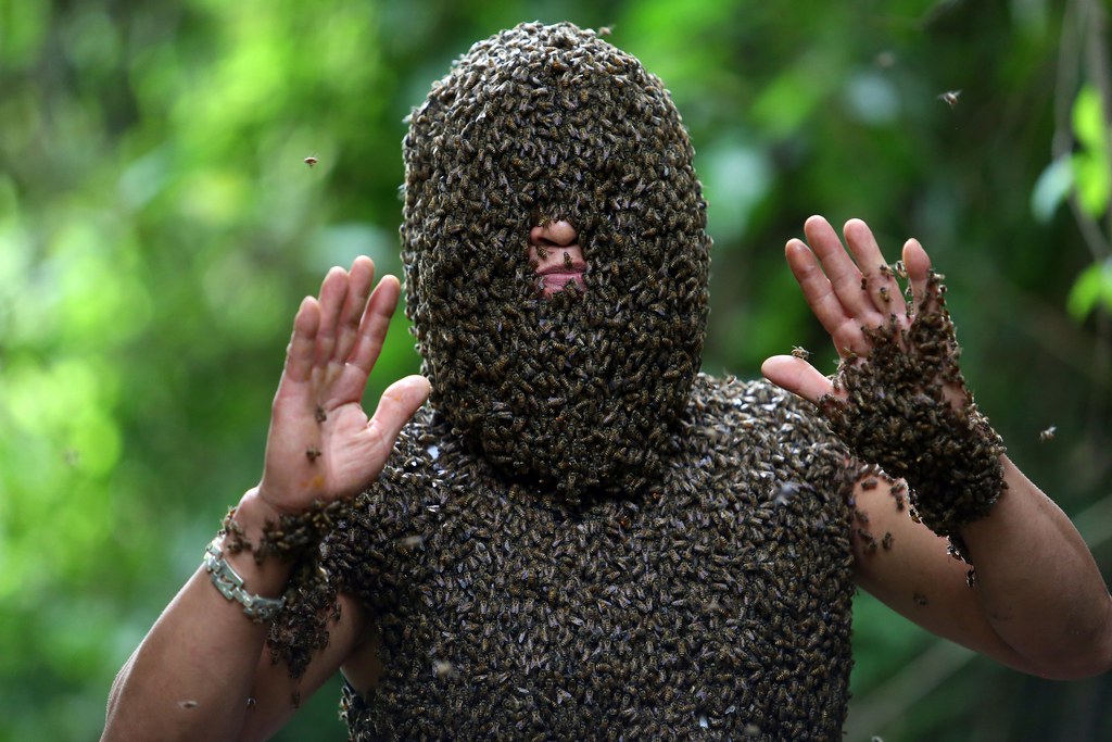  Bui Duy Nhat se transforme en ruche humaine.