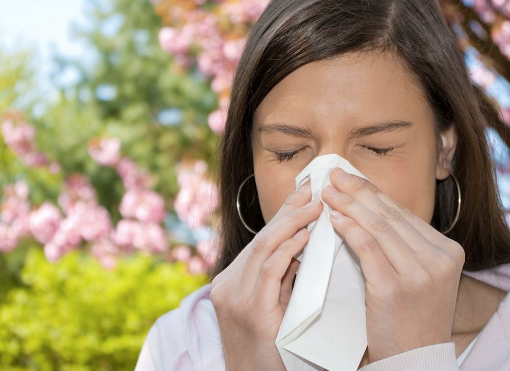 La contagion peut se produire dès que les symptômes faisant penser à un gros rhume apparaissent. 

DR