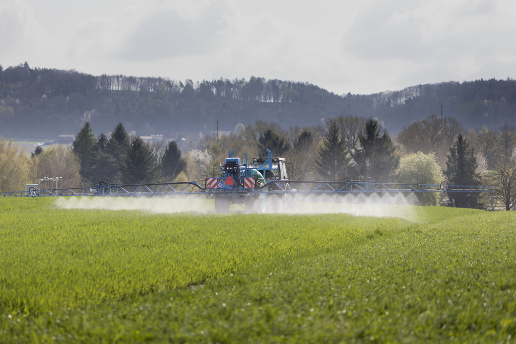 Pour le Conseil fédéral, il n'est pas possible de renoncer totalement aux pesticides et autres herbicides: ils permettent de produire plus de fruits et légumes, et plus beaux. (illustration)
