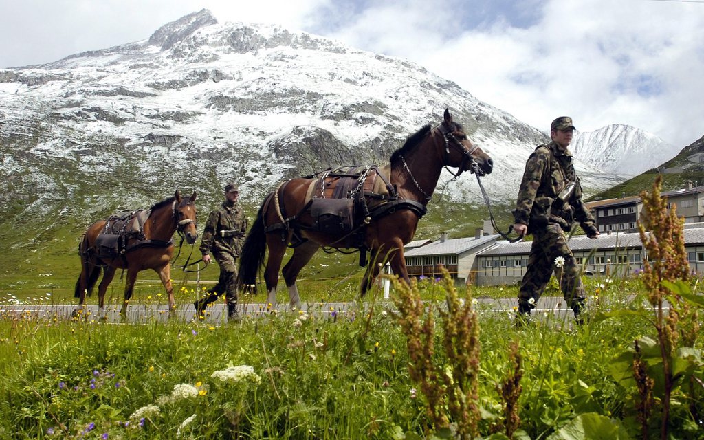 En plus des chevaux de selle, l'armée possède 150 franches-montagnes, un effectif qui ne sera pas réduit.
