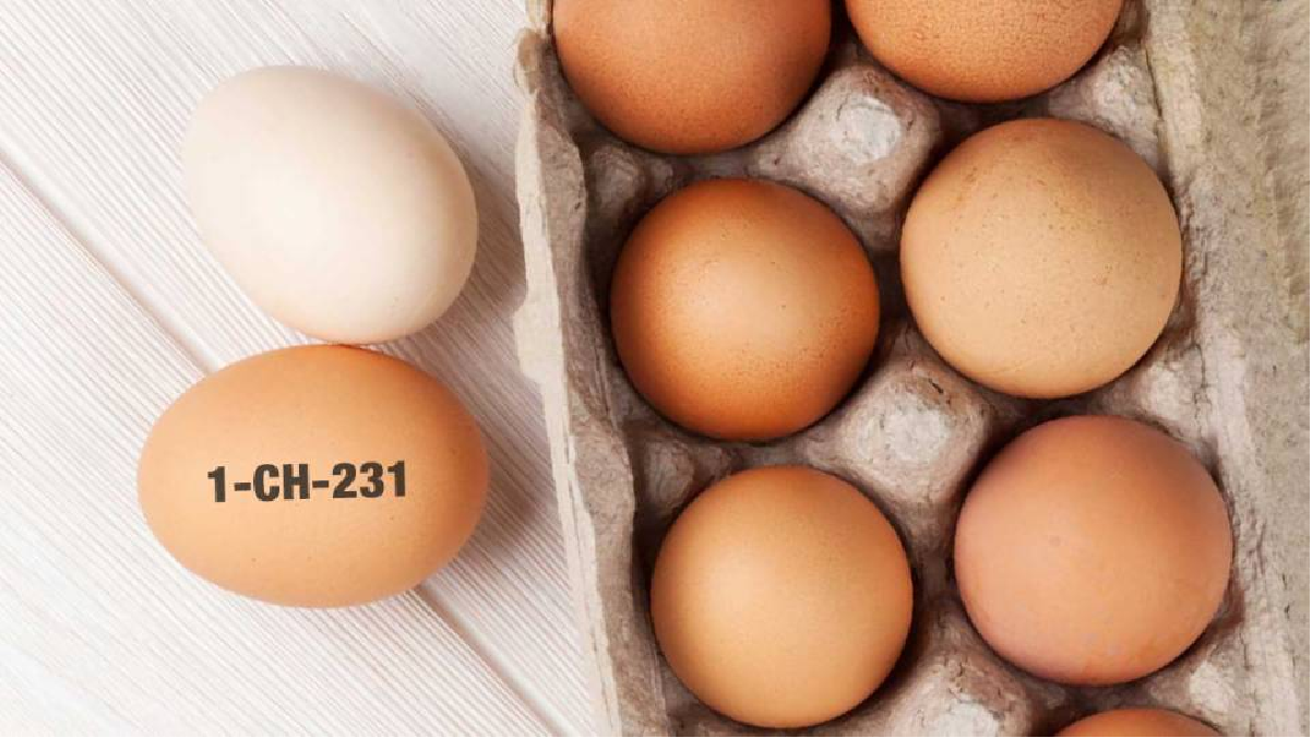 Les clients peuvent rapporter les œufs portant le code 1-CH-231 dans les magasins Migros, où le prix de vente leur sera remboursé.