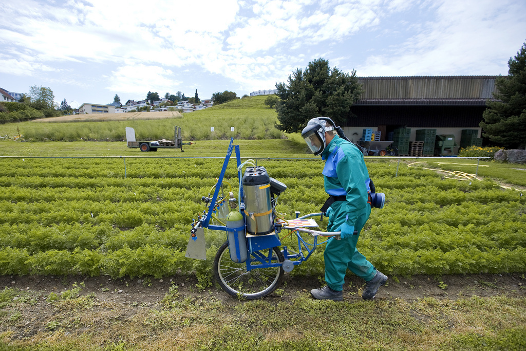 L'usage des pesticides sera-t-il interdit en Suisse?