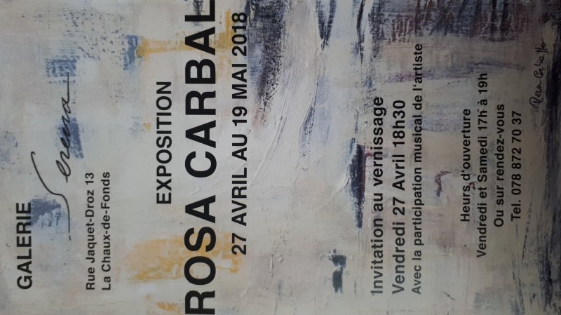 Exposition Rosa Carballo