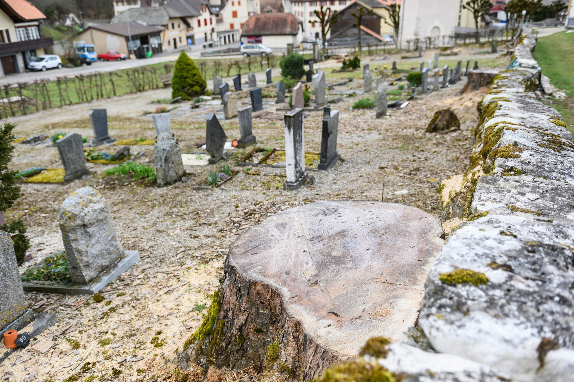 Les arbres qui ornaient le cimetière de Valangin n’ont pas été désouchés, car il aurait fallu casser le mur en pierres sèches.