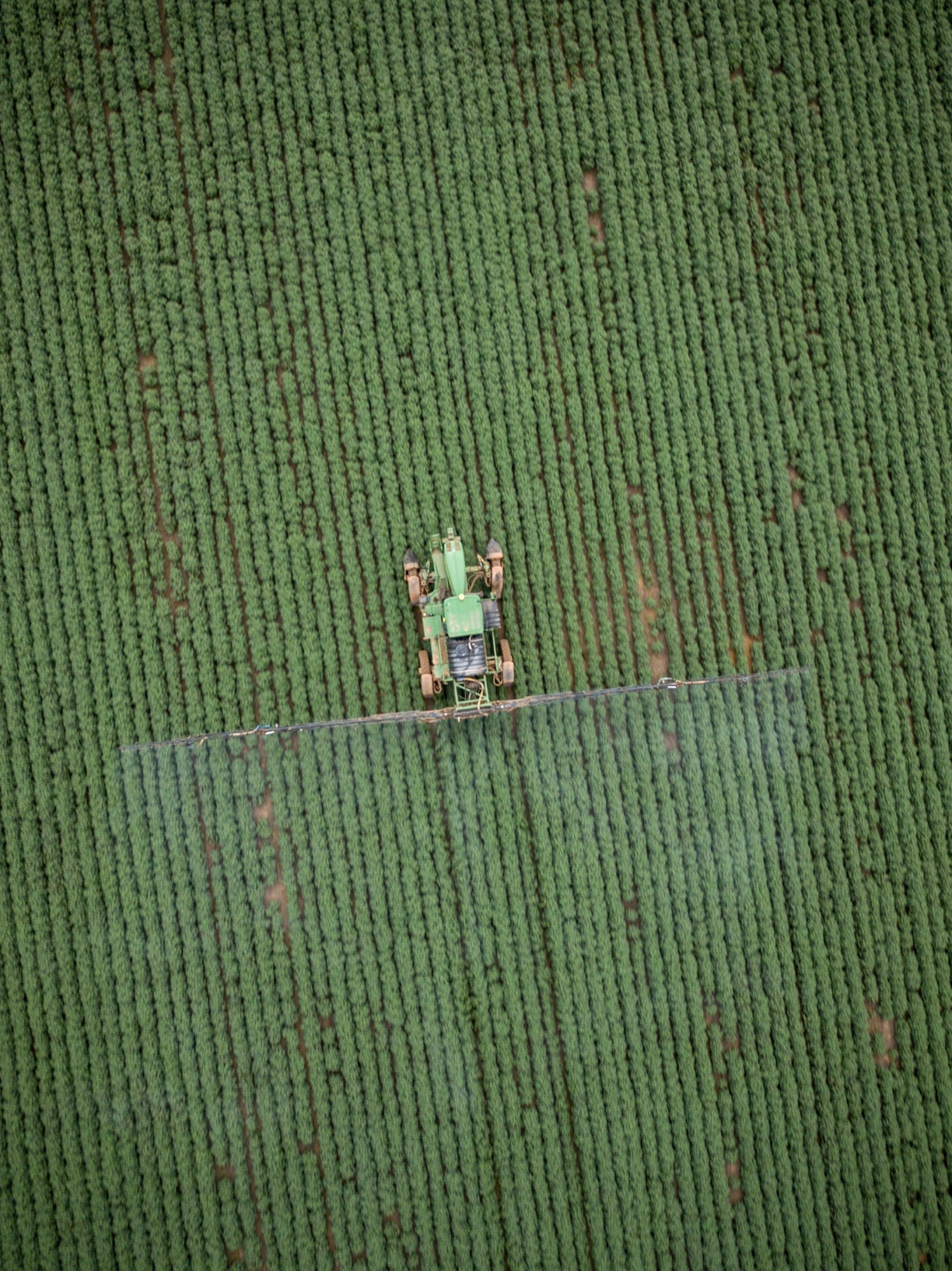A tractor applying herbicide on a cotton plantation in Sinop, Mato Grosso, Brazil. March 19th, 2018.
