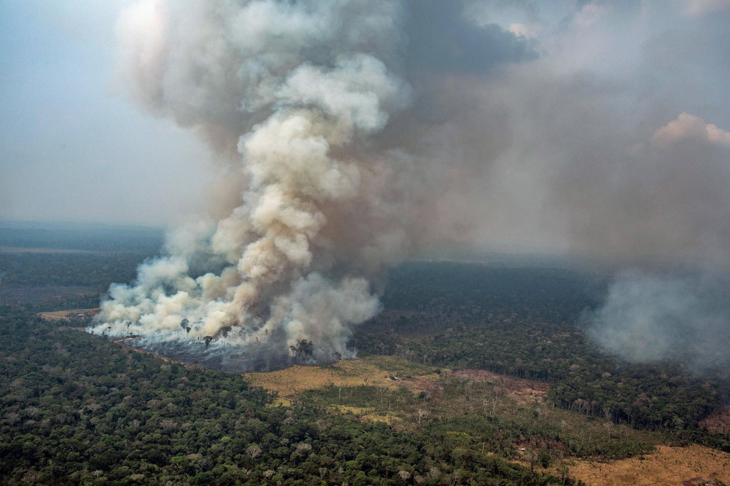 La forêt amazonienne a subi des dégâts considérables après de nombreux incendies. 