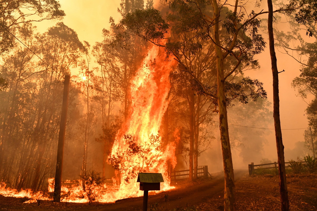 Les feux de forêt sont courants en cette saison, mais ils ont éclaté très tôt cette année et sont particulièrement virulents.
