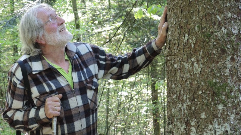 Chroniques jurassiennes : L'homme et la forêt