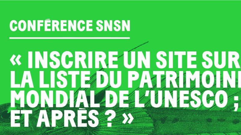 Conférence SNSN