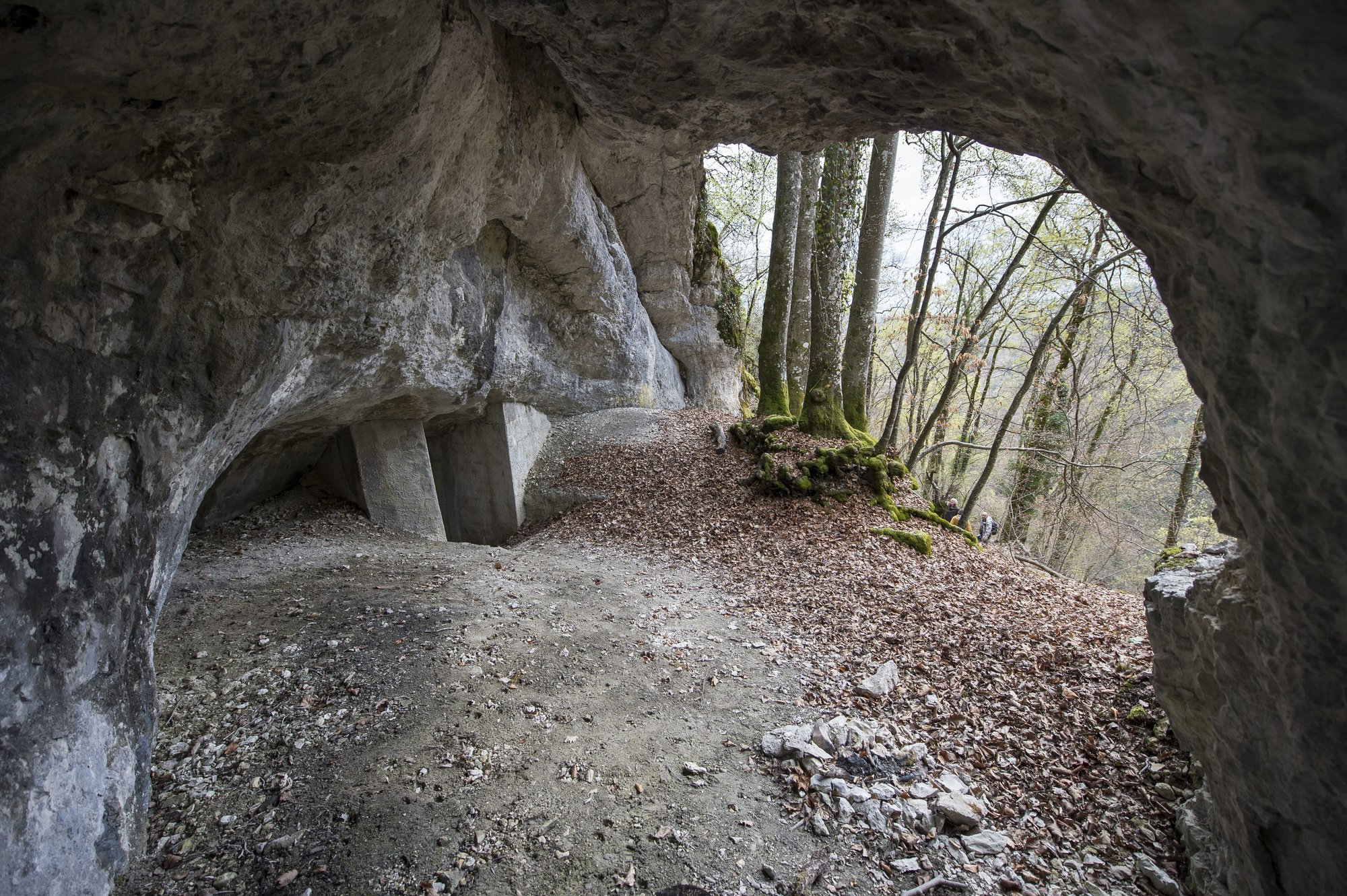 L'entrée de la grotte de Cotencher, dans les gorges de l'Areuse.