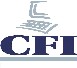 CFI SA Développement - Placement - Formation