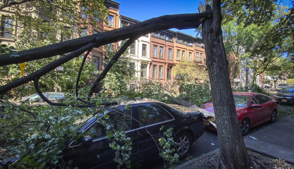 La tempête Isaias a déjà fait deux morts et passablement de dégâts sur son passage le long de la côte Est des Etats-Unis, comme ici dans le quartier de Brooklyn, à New York.